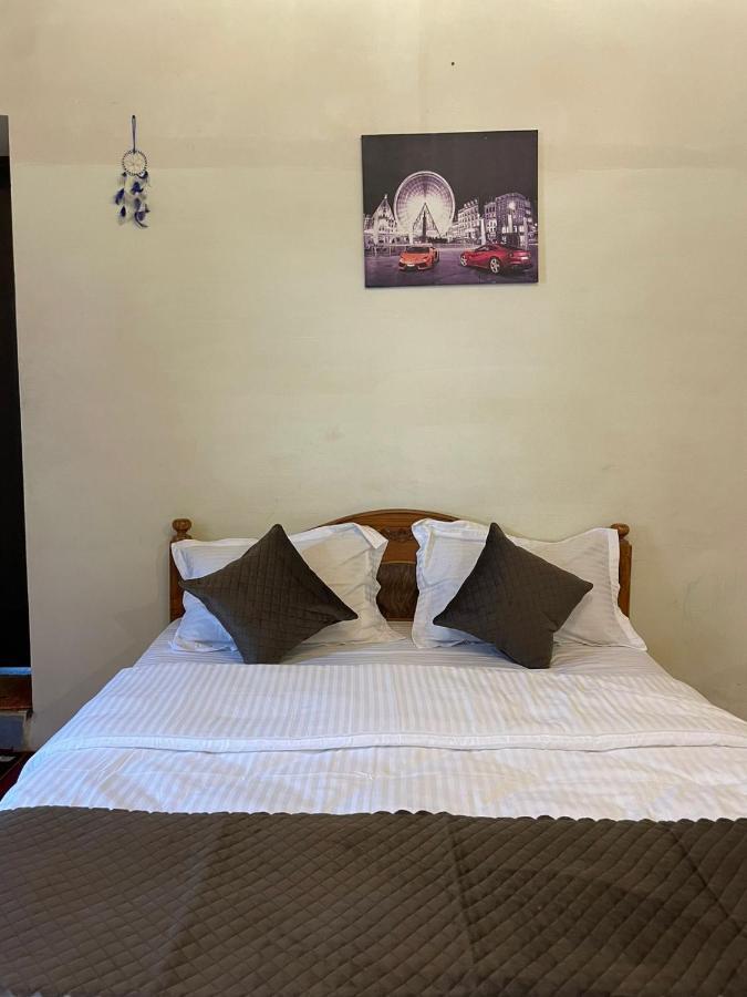 אוטי Sandy Holiday Home 5 Bhk מראה חיצוני תמונה